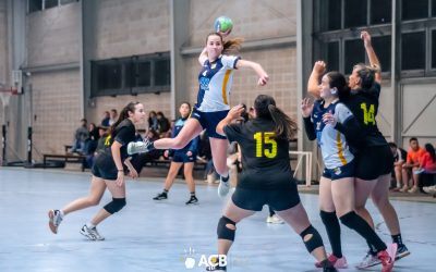 Definidas las semifinales de la LMB